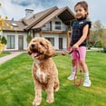 thumbnail image 4 of YWIYIUD 1PC HeavyDuty Elastic Dog Leash for Large Medium Dogs NoPull ShockAbsorbing Dog Leash with Handle Practical Climbing Rope Suitable for Walking Training Hiking and Daily Activities, 4 of 7