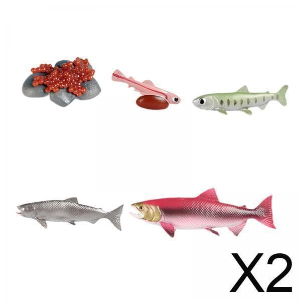 Ciclo de vida del salmón,Animales Figuras Ciclo de vida del salmón Modelo,Conjunto de figuras de animales de peces con ciclo de crecimiento,Juguetes modelo de ciclo de observación del