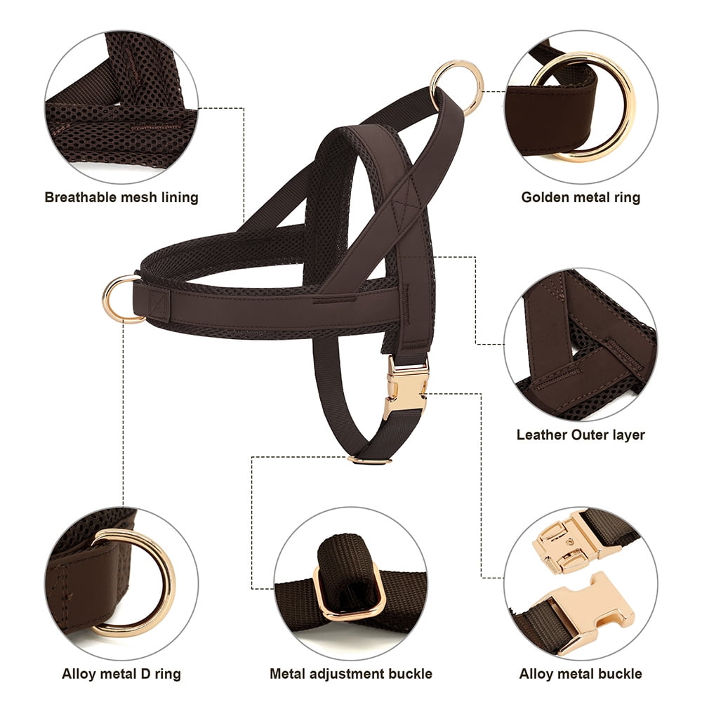 Pet Artist No-Pull Pet Harness and Leash Set, Breathable Mesh & Padded Vest, Front Clip, Adjustable PU Leather with Metal Buckle for Small to Large Dogs