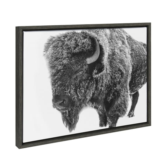 Kate and Laurel Sylvie Bison in Snow Black and White Framed Canvas Wall Art by Amy Peterson Art Studio, 18x24 Gray, Modern Animal Portrait Art for Wall