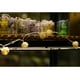 thumbnail image 4 of Guirnalda de luces de bolas de ratán 20LED, luz de hadas decorativa romántica para exteriores e interiores, 4 of 8