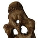 thumbnail image 3 of Toystoory Acuario decoración paisajismo cabeza hueso cueva ornamento acuático Artificial decorativo pecera reptil caja Prop reutilizable Kits de decoración para fiestas, 3 of 6