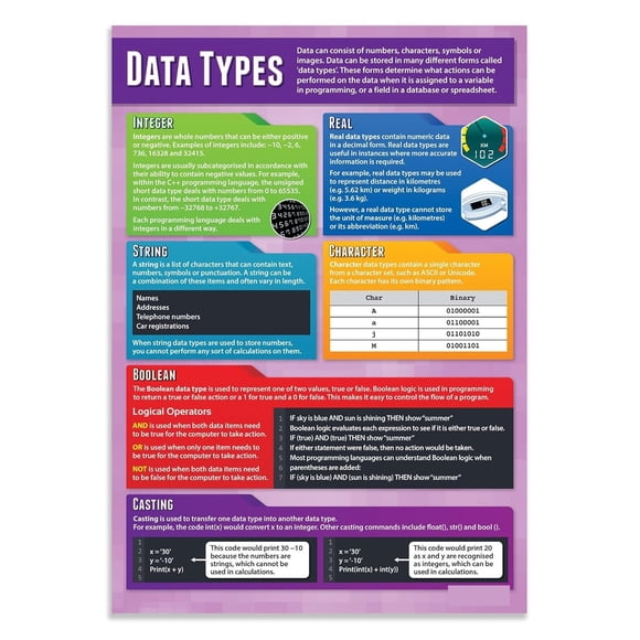 Data Types Computer Science Poster STEM Middle High School Classroom Decoration Educational Wall Art Unframed 12x18inch