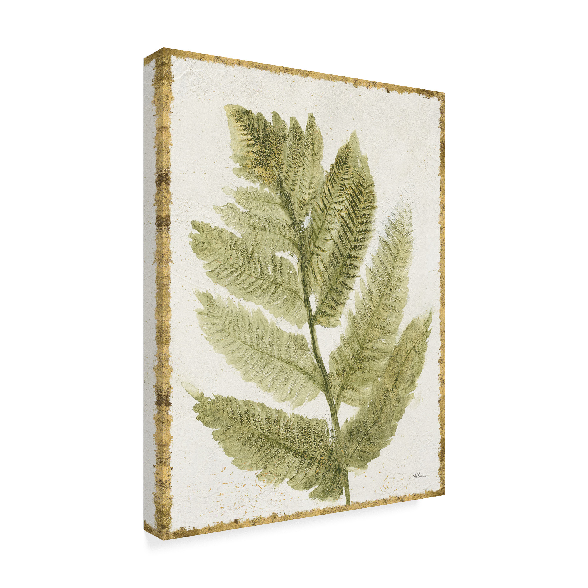 Trademark Fine Art 'Forest Ferns I Antique' Canvas Art by Albena Hristova