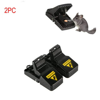 Case of Easy Set® Mouse Traps