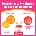 thumbnail image 6 of SmartyPants Kids Digestive Probiotic & Prebiotic Gummies, 6 Billion CFUs, New Formula, 60 Ct, 6 of 7