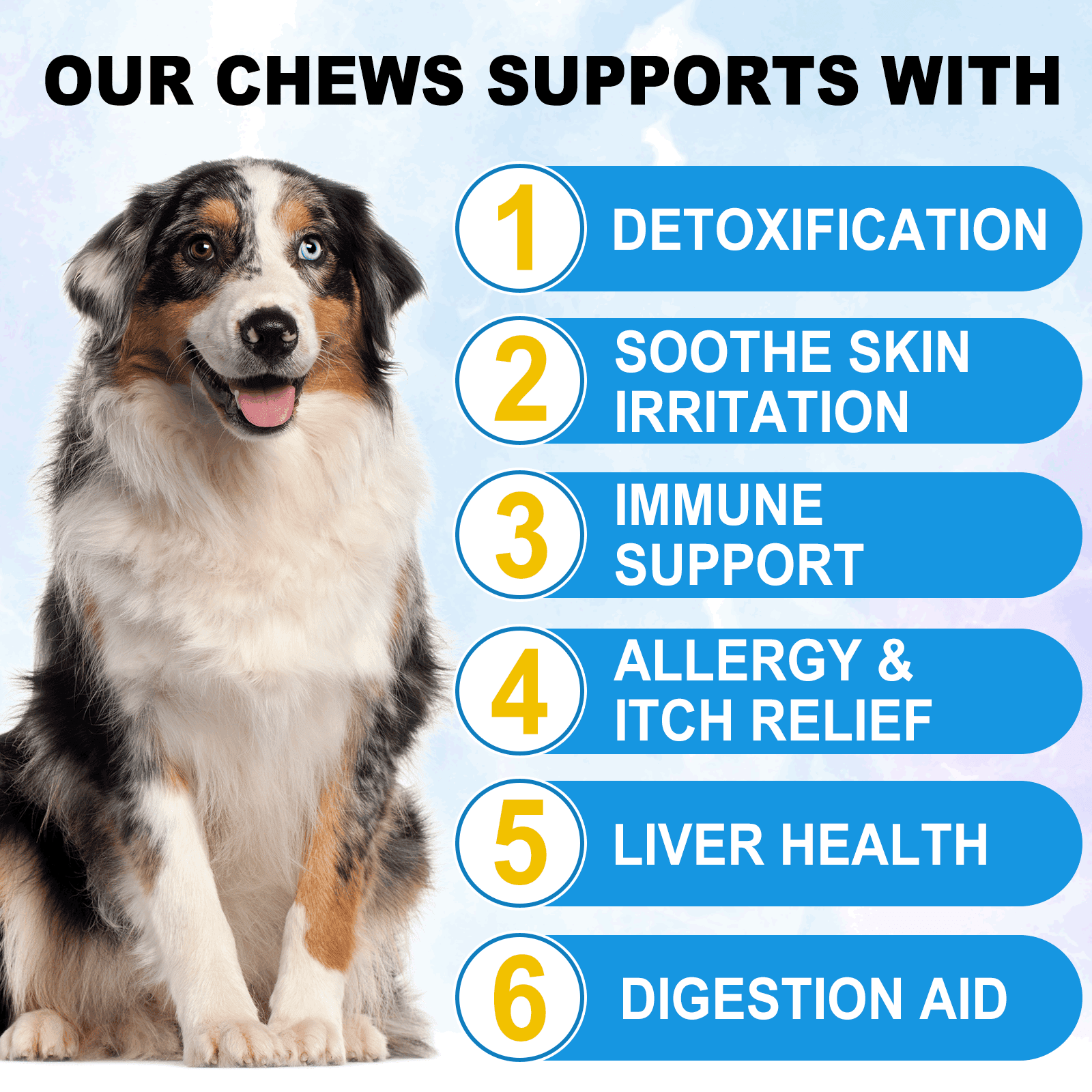 Oimmal Allergy Relief Immune Chews for Dog, Anti-Itch Skin & Coat Supplement with Omega 3 Fish Oil | Itchy Skin Relief - Help with Paw Licking, Dry Skin, Hot Spots (60 Treats - Peking Duck) 5Pack