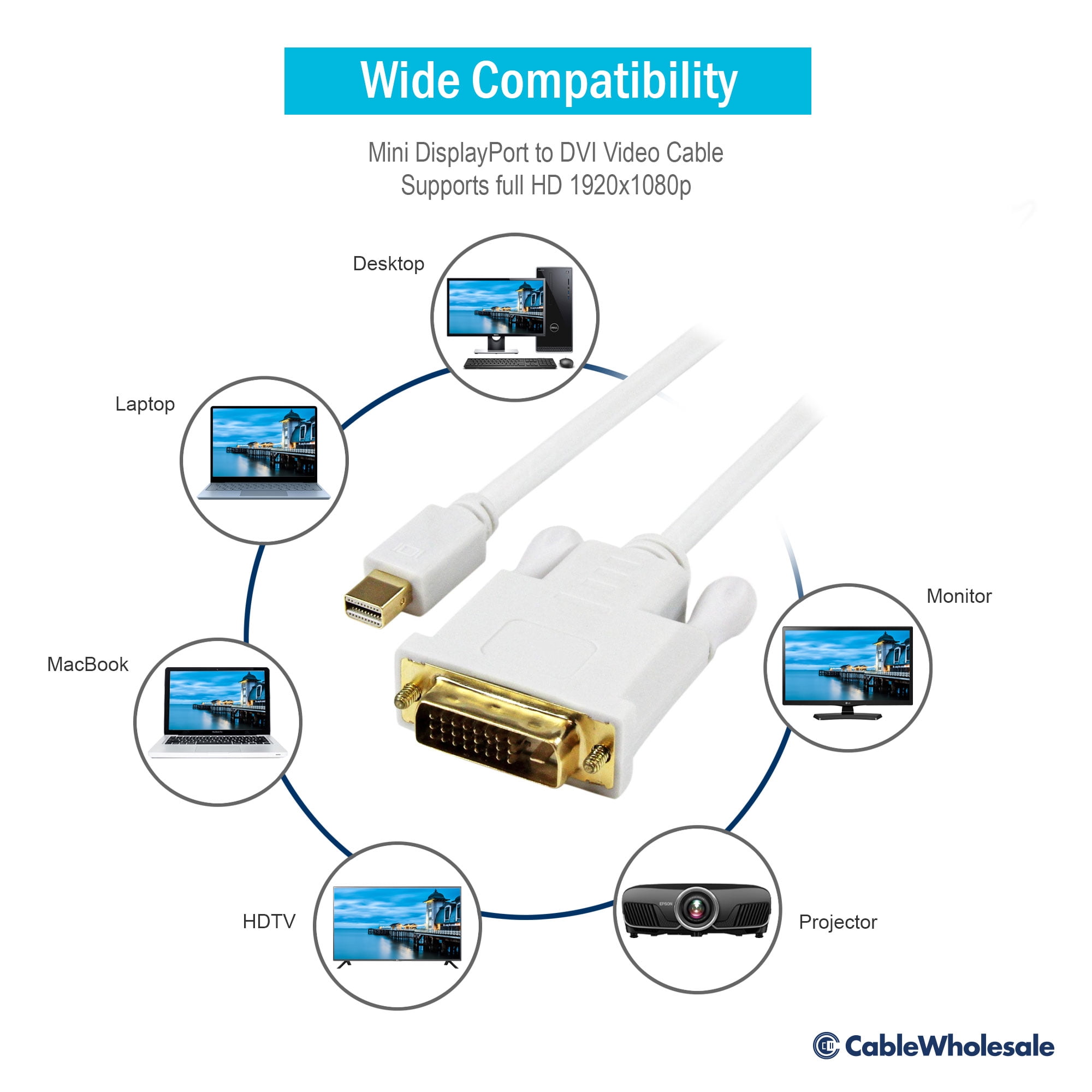 Cable Wholesale Mini DisplayPort to DVI Video Cable- Mini DisplayPort Male to DVI Male- 10 foot