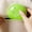 Green, variant on Clearance Food Storage under $1,7 Day Storage Box Daily Weekly Storage Box For Daily Necessities Portable Portable Round Container