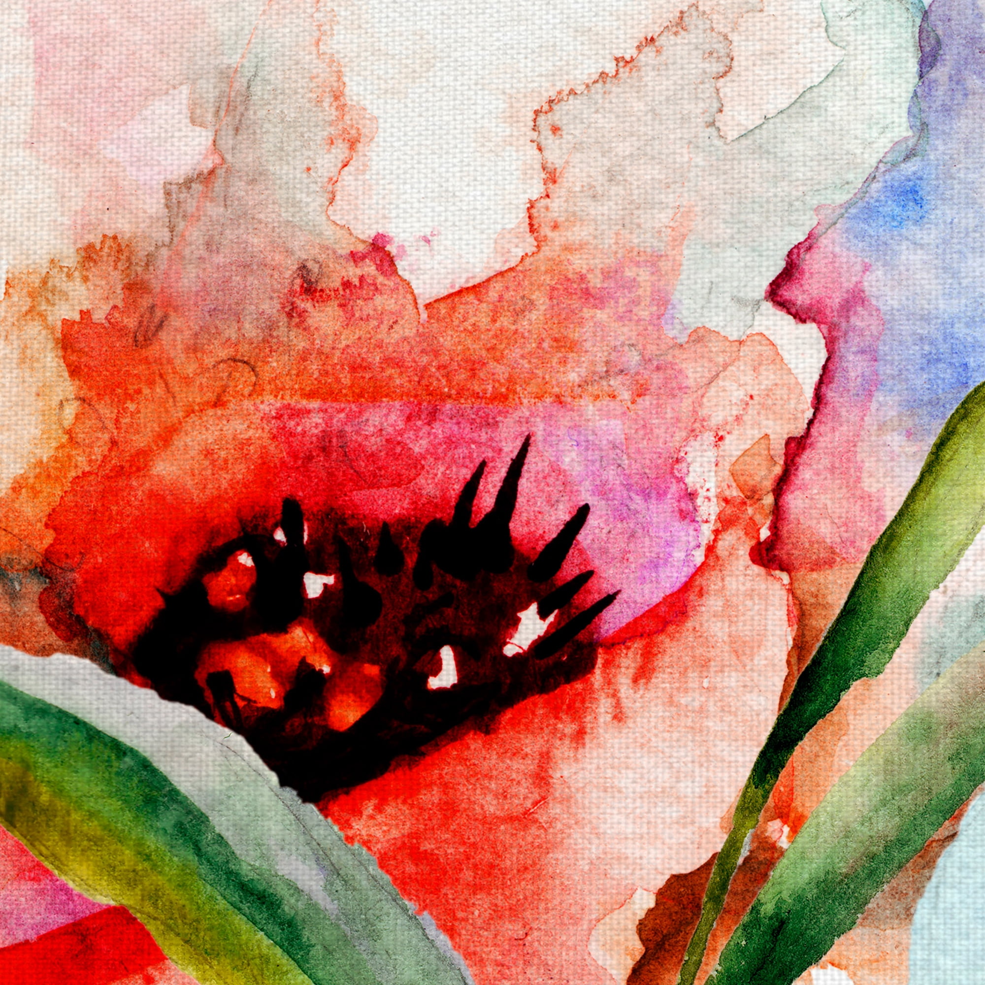 Masterpiece Art Gallery Watercolor Dream Red & Blue Flowers by Belle Maison Canvas Art Print 30" x 30"