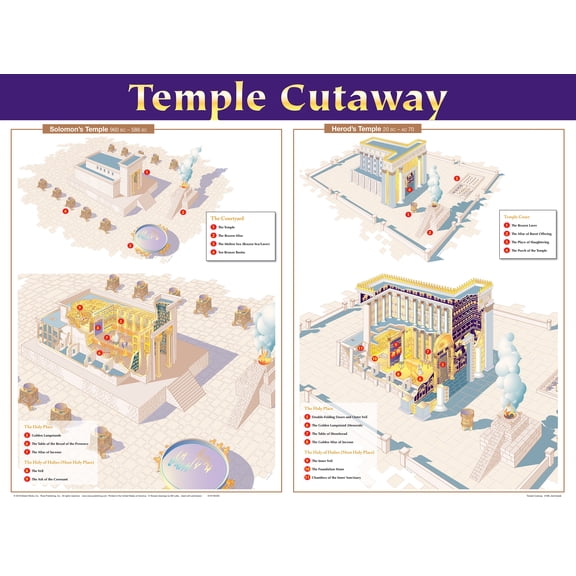 Temple Cutaway Wall Chart (Wallchart)