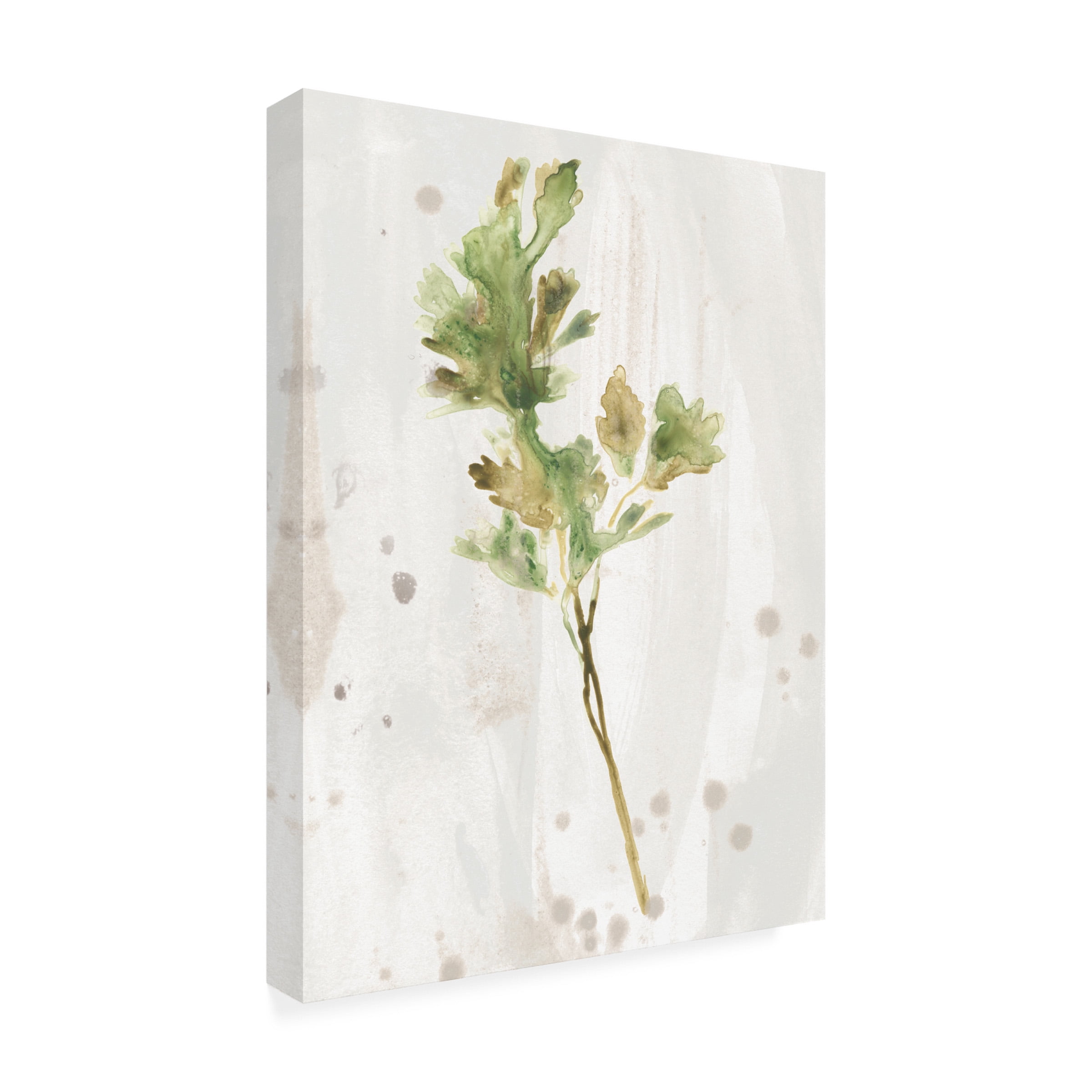June Erica Vess 'Antique Earthtone Herbs I' Canvas Art