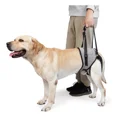 thumbnail image 1 of Cabestrillo Grande Para Perros Discapacitados Para Personas, 1 of 6