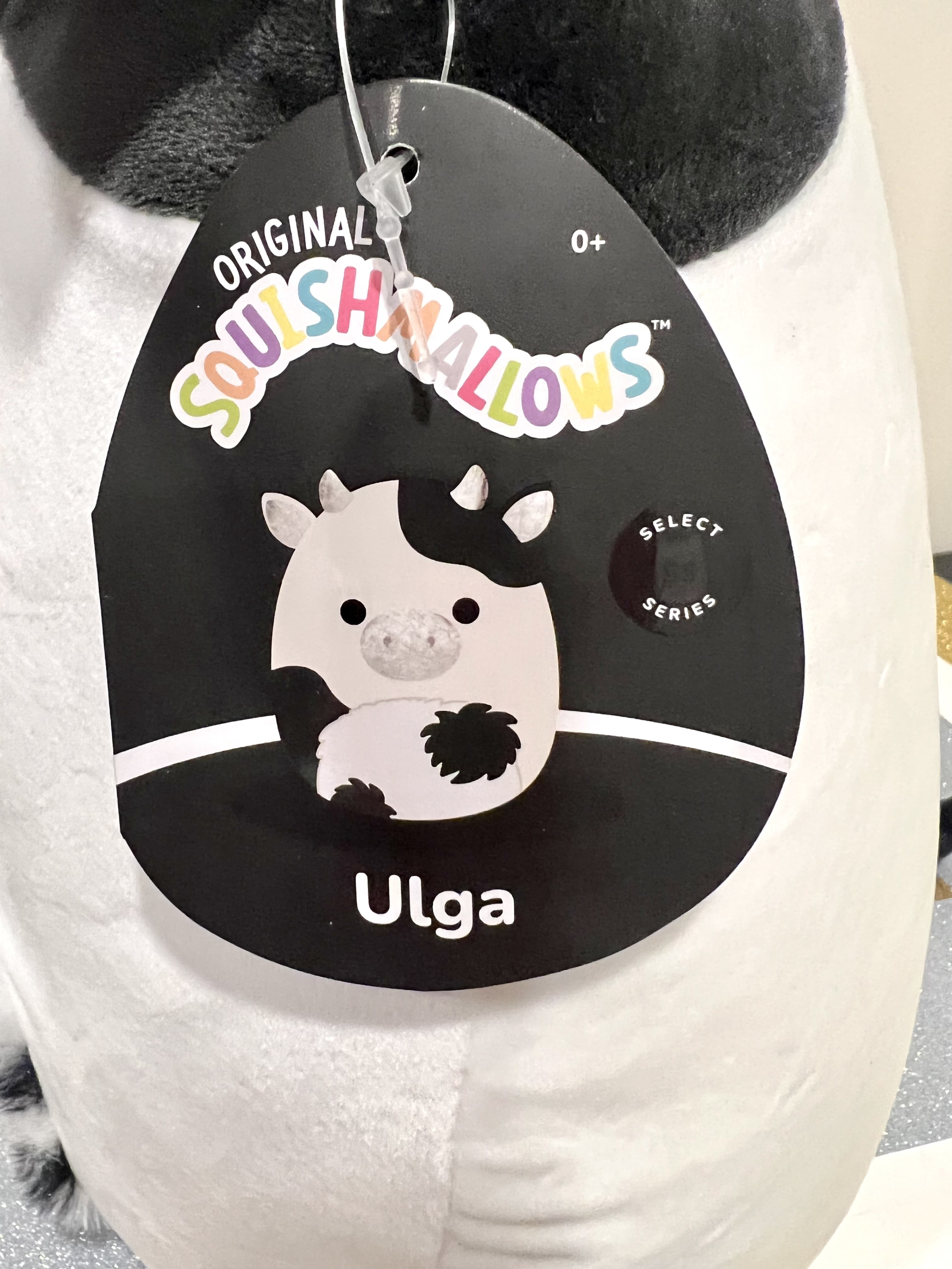 Ulga squishmallow 12
