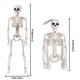 thumbnail image 4 of 2X Decoraciones de Esqueletos de Halloween, Esqueleto de PláStico Articulado, Esqueleto de Cuerpo Completo con Articulaciones MóViles, 4 of 5