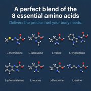 Advanced Amino Formula - Essential Amino Acid Supplement, 150 Tablets, 8 Essential Amino Acids, Post-Workout Recovery, Muscle Support, Energy & Stamina, Vegan, Gluten-Free, GMO-Free