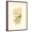 Brown Frame, variant on Art.com Victorian Rose III Art Print by P^ Seguin-Bertault, 12" x 16"