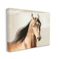 thumbnail image 4 of Stupell Industries Brown Stallion Portrait Animals & Insects Photography Gallery Wrapped Canvas Print Wall Art, 48 x 36, 4 of 8