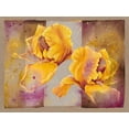 thumbnail image 2 of Cadoret, Virginie 32x25 Gold Ornate Wood Framed with Double Matting Museum Art Print Titled - Iris, 2 of 4