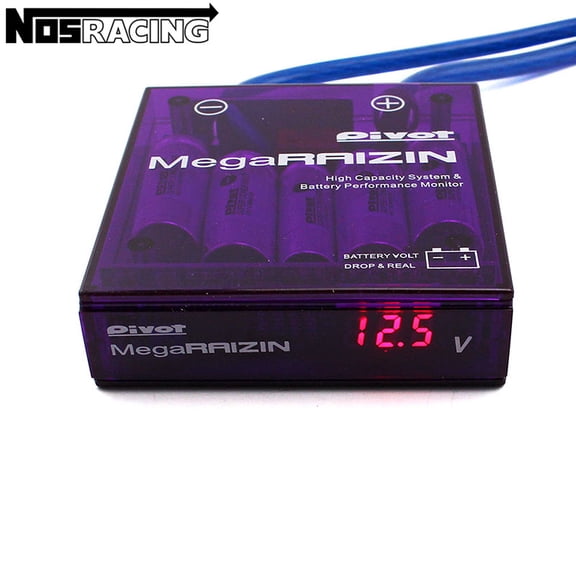Violet-Universal Car Voltage Stabilizer, Fuel Saver, LED Display, Sochi, Ground Wires