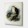 thumbnail image 3 of Designart ' Ancient Bird Life VI ' Traditional Canvas Wall Art Print, 3 of 4