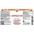 thumbnail image 2 of Dipsacus (Dipsacus Asper) Dry Root Liquid Extract. Expertly Extracted by Trusted HawaiiPharm Brand. Absolutely Natural. Proudly made in USA. Tincture 2 Fl.Oz, 2 of 3