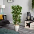thumbnail image 3 of Nearly Natural 5'H Bamboo Artificial Tree in Sand Colored Planter (Real Touch) UV Resistant (Indoor/Outdoor), 3 of 3