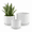 White, variant on BUYMAX 4 5 6 inch Set of 3 Ceramic Plant Pots, White, Nature Flower Pots with Drainage Hole and Tray Indoor Planter Pots