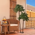 thumbnail image 2 of Northlight Lighted Artificial Tropical Palm Tree Duo - 6' - Clear Lights, 2 of 5