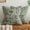 Olive Green, variant on SUSIELADY 18x18 Inch Pillow Covers 2 Pack, Farmhouse Chenille and Velvet Throw Pillow Covers with Piping, Textured Decorative Cushion Covers for Couch Sofa Bed Living Room Decor, Khaki