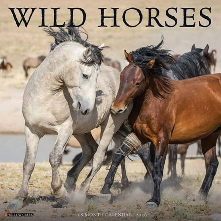 Wild Horses 2026 Wall Calendar, (Paperback)