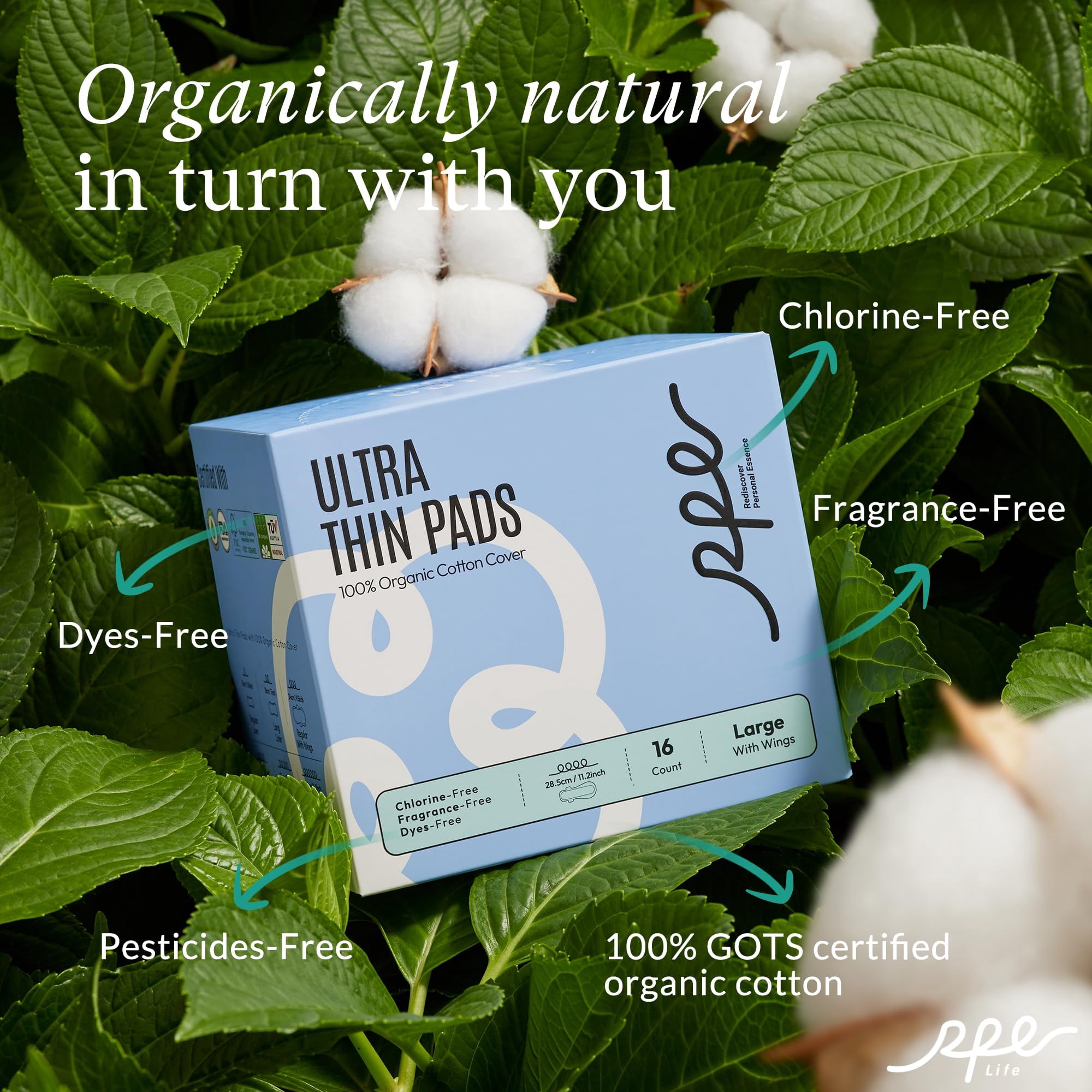 100% Large Organic Pads for Women, Ultra Thin Heavy Flow Sanitary Pads with Wings, Unscented Cotton Pads Menstrual, Super Absorbency Feminine Pads Extra Coverage Period Pads (Large, Size 4, 48ct)