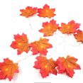thumbnail image 1 of Guirnalda de hojas de arce de otoño luces de hadas luces de cadena impermeables para decoración de Halloween de Acción de Gracias Zhivalor CWY-1244, 1 of 5