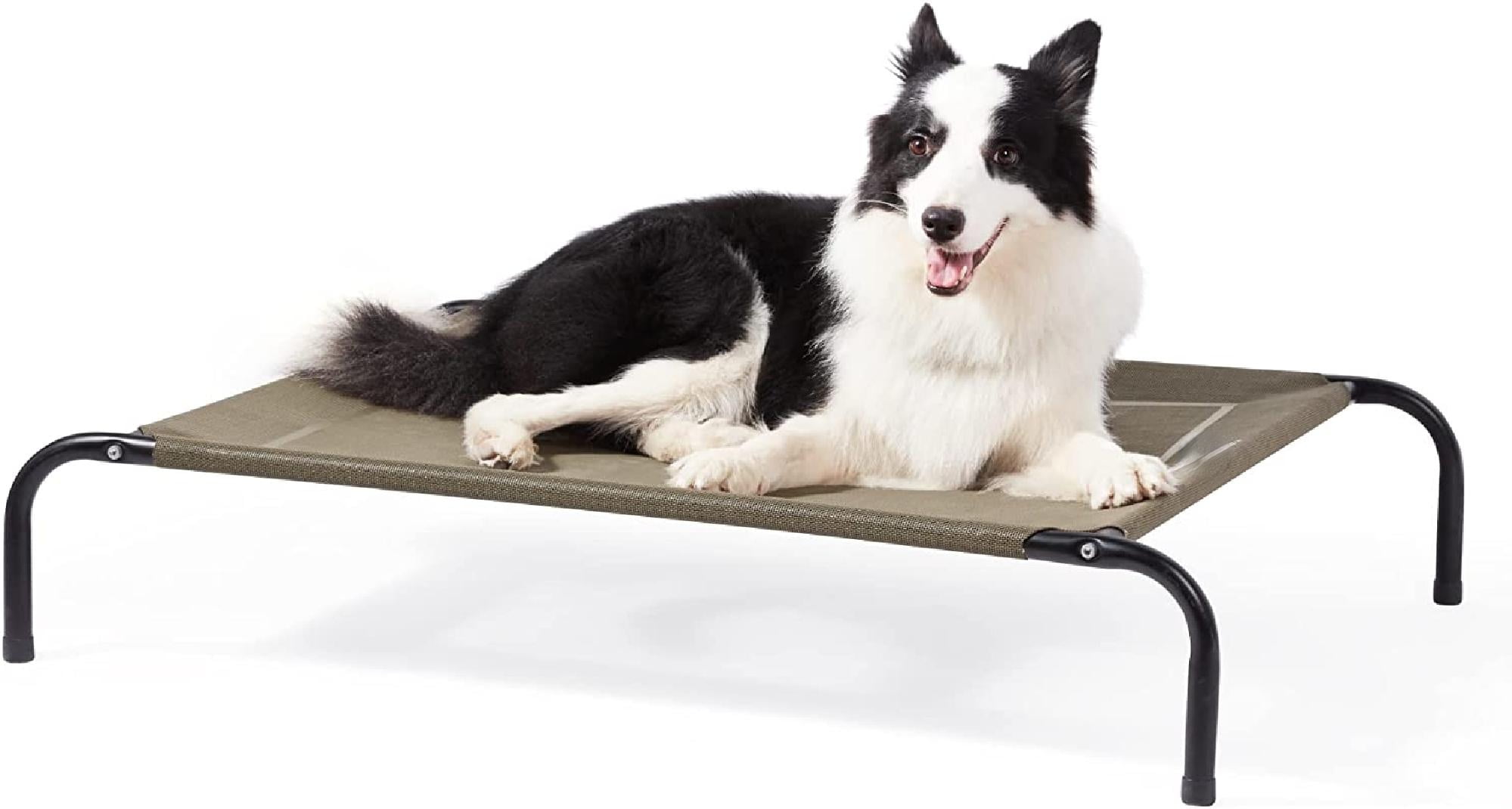 best raised dog beds for large dogs
