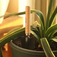 thumbnail image 5 of Herramientas de jardinería, BR-Vie, 3 piezas, mini kit de herramientas de jardín, pala, rastrillo de jardinería, regalo de jardín, juego de madera de pequeños rastrillos y pala, para plantas en maceta esquí esquí Gafas de esquí, 5 of 5