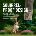 thumbnail image 3 of Droll Yankees Flipper Squirrel-Proof Tube Bird Feeder - Green - 5 lb. capacity, 3 of 15