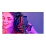 Lewitt LCT 441 Flex - Microphone