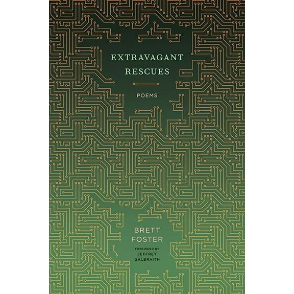 Extravagant Rescues : Poems (Paperback)