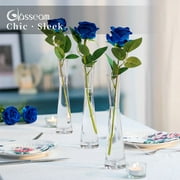 Glasseam Glass Bud Vases in Bulk 9.64Tall Clear Skinny Vases Set of 6 Small Single Flower Vase for Centerpiece