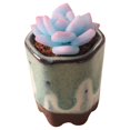 thumbnail image 2 of Mini modelo en maceta Hesroicy: mano de obra fina realista, miniatura simulada a escala 1/6, modelo en maceta de planta suculenta de cerámica decorativa, accesorios para casa de muñecas, 2 of 8