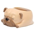 thumbnail image 4 of Maceta de cactus de animal de perro pequeño, maceta de resina para maceta C kusrkot  Contenedor de hierbas suculentas de resina, 4 of 7