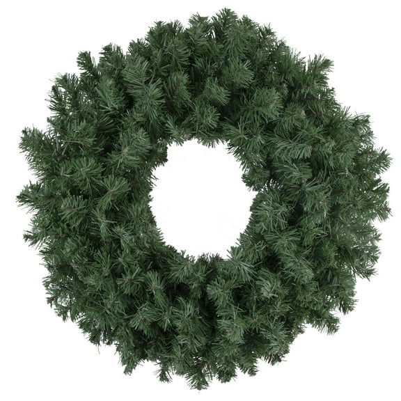 Northlight Colorado Spruce Artificial Christmas Wreath - 24" - Unlit