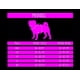 thumbnail image 4 of Pechera Arnes Rufinos Perro Bulldog Pug Terrier Chihuahua, 4 of 4