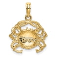 thumbnail image 3 of FB Jewels 14K Yellow Gold Crab High Polish and 2D Pendant, 3 of 3