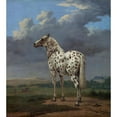 thumbnail image 2 of Paulus Potter 15x16 Black Ornate Wood Framed Double Matted Museum Art Print Titled - The Piebald Horse (1650-1654), 2 of 5