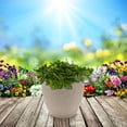 thumbnail image 3 of Imitation Stone Shape Succulent Planter Container Resin Flower Planter Pot, 3 of 5