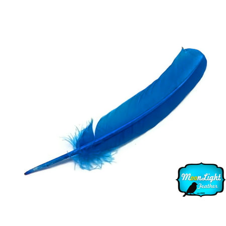 1/4 Lb - Turquoise Turkey Rounds Wing Quill Wholesale Feathers (Bulk)