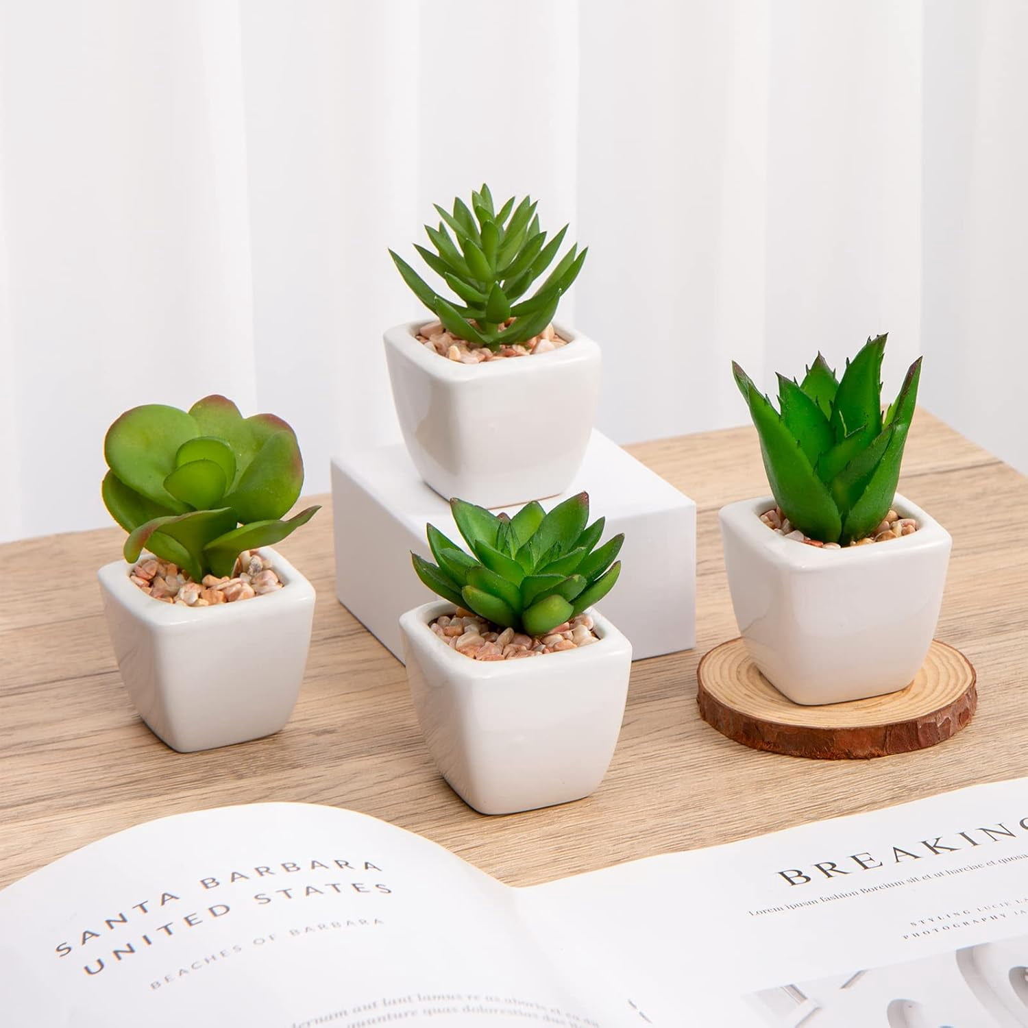 Mini Fake Plants 3 Packs Artificial Succulents Plants in Round Glass Vase Cute Faux Succulents for Bathroom Kitchens Shelf Table Decor