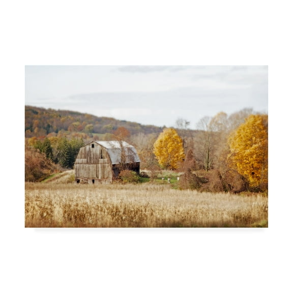 Trademark Fine Art 'Barn & Beehives' Canvas Art by Brooke T. Ryan