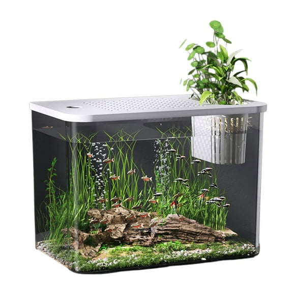 Ecologic Fishtanks With Safety Cover Clear Views Plant Holder Fish Bowl For Home Office Tabletop Decoration